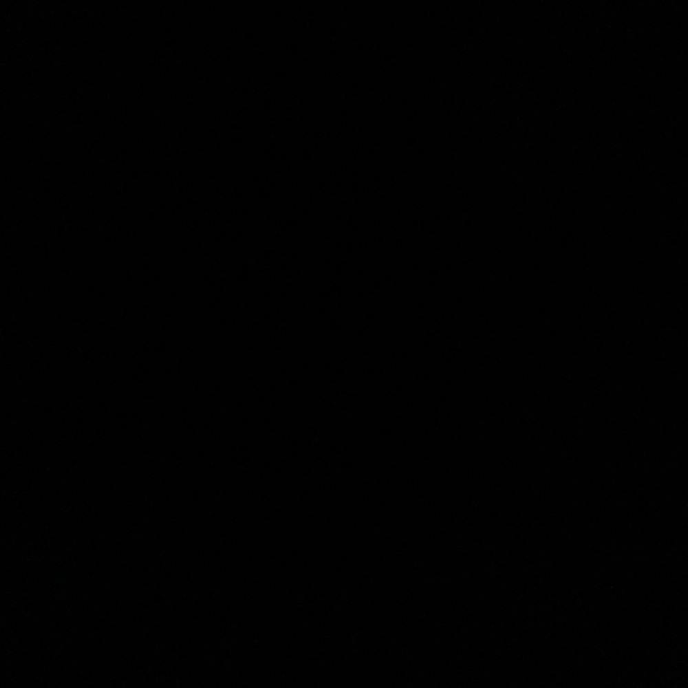 Meet your Posher, Isabella